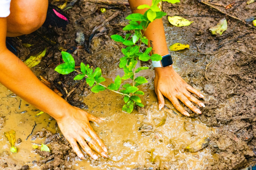 ESG, Environmental & Social Advisory